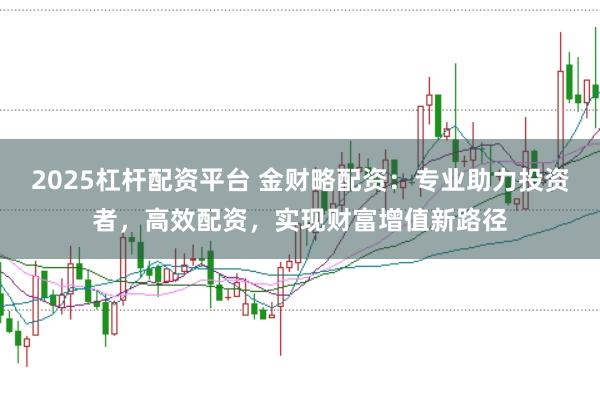 2025杠杆配资平台 金财略配资：专业助力投资者，高效配资，实现财富增值新路径