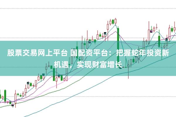 股票交易网上平台 国配资平台：把握蛇年投资新机遇，实现财富增长