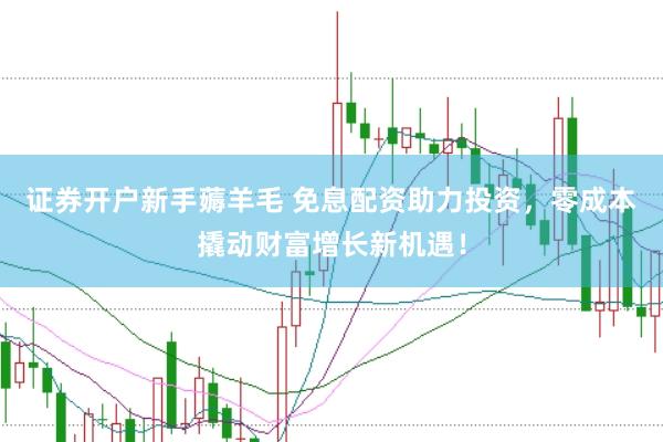 证券开户新手薅羊毛 免息配资助力投资，零成本撬动财富增长新机遇！