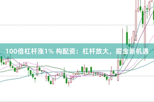 100倍杠杆涨1% 构配资：杠杆放大，掘金新机遇