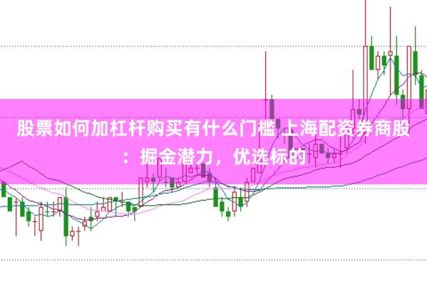 股票如何加杠杆购买有什么门槛 上海配资券商股：掘金潜力，优选标的