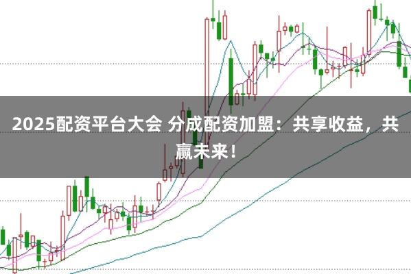 2025配资平台大会 分成配资加盟：共享收益，共赢未来！