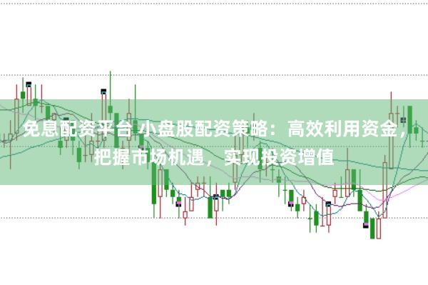免息配资平台 小盘股配资策略：高效利用资金，把握市场机遇，实现投资增值