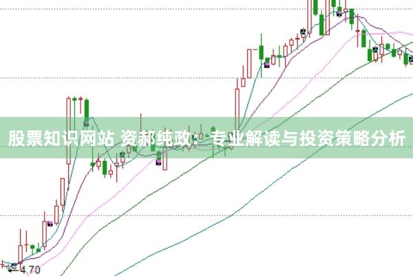 股票知识网站 资郝纯政：专业解读与投资策略分析