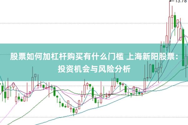 股票如何加杠杆购买有什么门槛 上海新阳股票：投资机会与风险分析