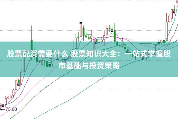 股票配资需要什么 股票知识大全:一站式掌握股市基础与投资策略