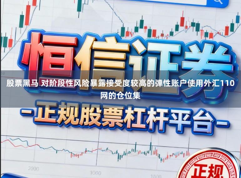 股票黑马 对阶段性风险暴露接受度较高的弹性账户使用外汇110网的仓位集