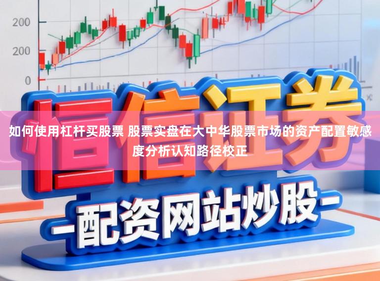 如何使用杠杆买股票 股票实盘在大中华股票市场的资产配置敏感度分析认知路径校正
